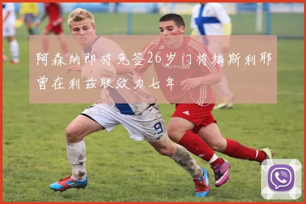 阿森纳即将免签26岁门将梅斯利耶曾在利兹联效力七年