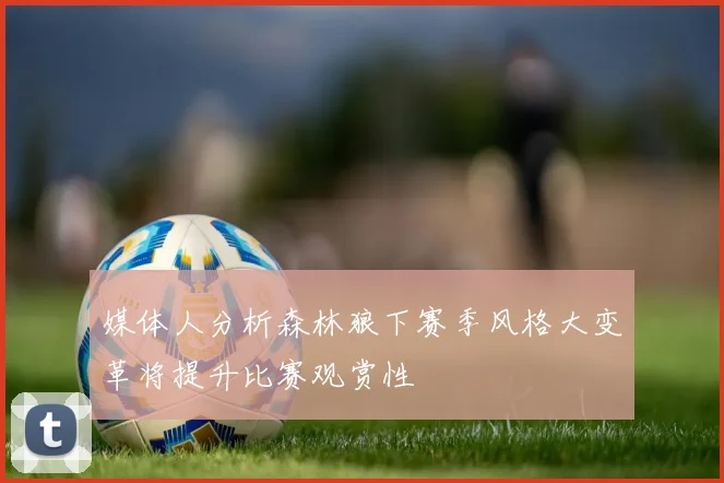 媒体人分析森林狼下赛季风格大变革将提升比赛观赏性