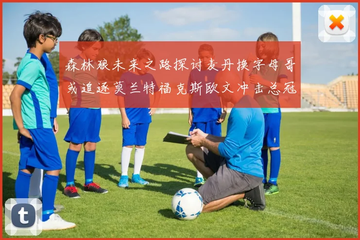 森林狼未来之路探讨麦丹换字母哥或追逐莫兰特福克斯欧文冲击总冠军